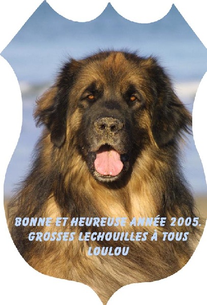 Du clos des grès - Leonberger - Portée née le 05/09/2000